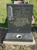 image of grave number 239507
